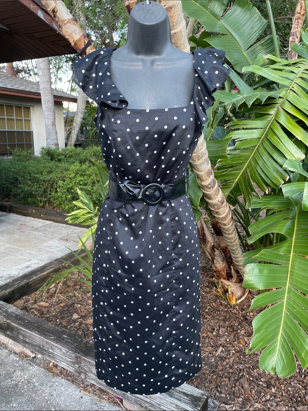 Black and white polkadot dress with ruffled sleeves